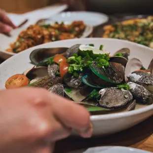 Manila Clams