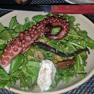 Octopus Salad