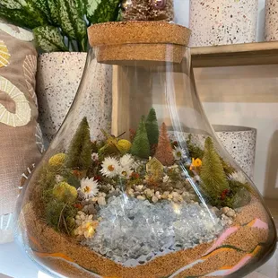 Terrarium