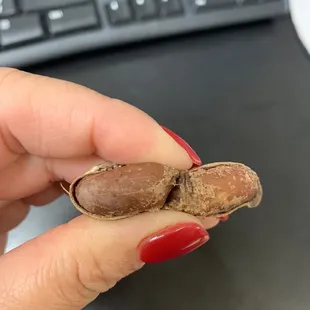 a hand holding a nut