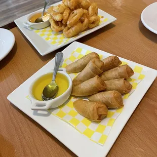 Spring Rolls and Fried Calamari