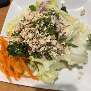 Larb Salad