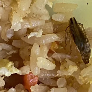 Crab Fried Rice
