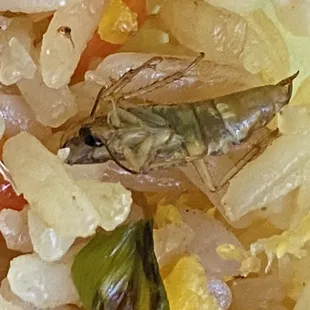 Crab Fried Rice