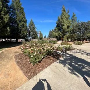 Rose garden near reception hall