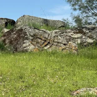 Rock carvings outside on the walking part of the museum tour