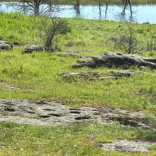 "The kitchen" mortor holes on the outside part of the walking tour.