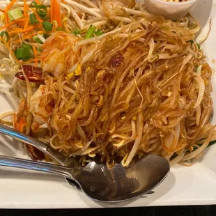 noodle dish, food, noodles, ramen, ramen and noodles, noodle soup