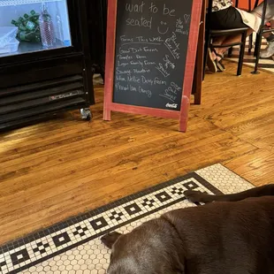 Friendly dog and list of local farms and shops