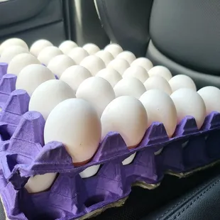 5 dozen eggs for $26!