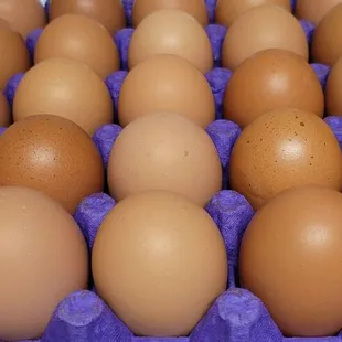 Nice good looking eggs