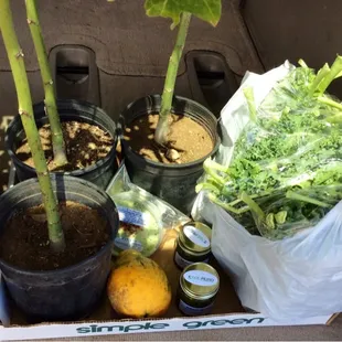 Goodies from the farm.