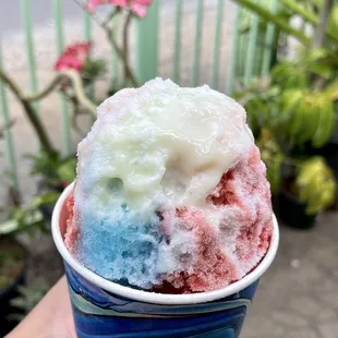 a hand holding a cup of ice cream