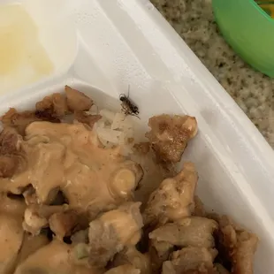 Chicken Teriyaki