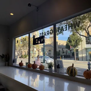 View from indoor counter