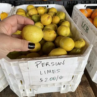 a person picking lemons from crates
