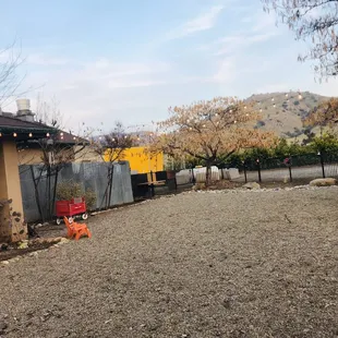 Beautiful back patio area with lots of seating. It's also dog friendly!