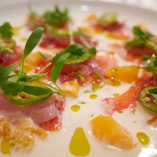 &quot;The Crudo&quot;