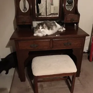 Somebody loves the new vanity!!!