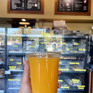 FRESH SQUEEZED ORANGE JUICE