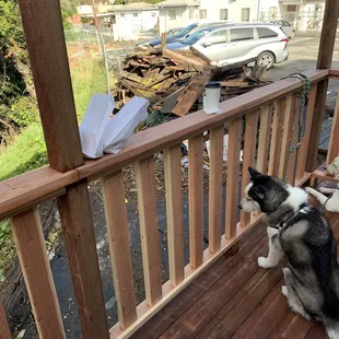 All that&apos;s left, a walkway about 4 feet deep.  See that blacktop behind?  Landlord too stupid even to turn that into dining area.