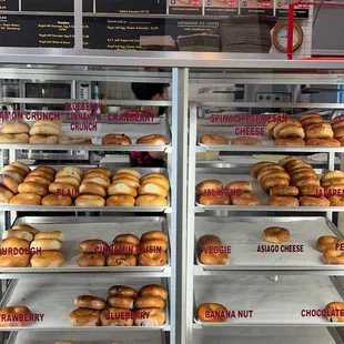 a display case of bagels