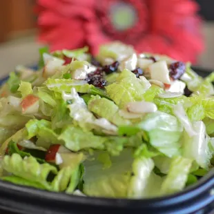 Cranberry Apple salad