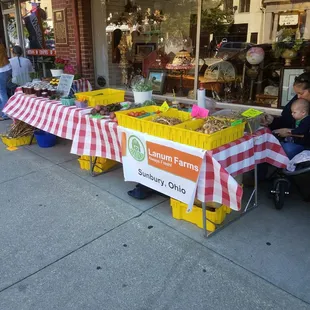 a woman sitting at a table