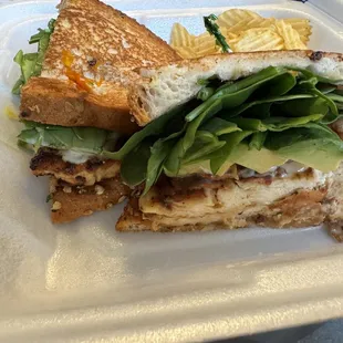 a grilled chicken sandwich on a styrofoam container