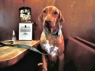 Stoney's Grub and Pub