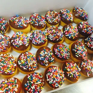 Chocolate sprinkles donut holes!