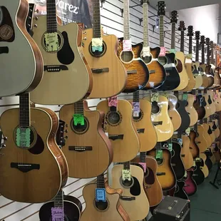 Acoustic Guitars