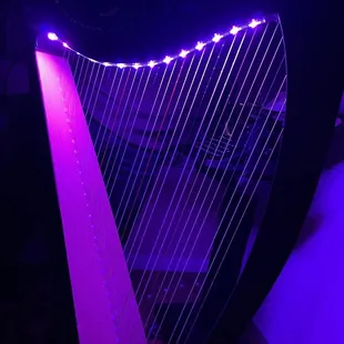 Harp lessons! Halloween harp! 10.26.21