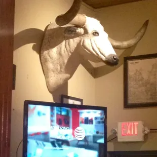 Big cow heads &amp; stuffed dead things all over...