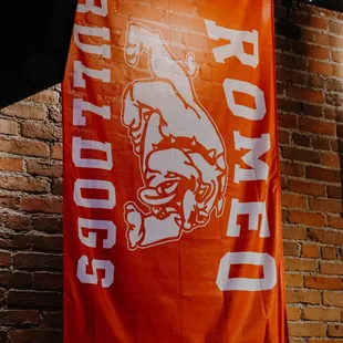 Cheer on your favorite sports teams in Romeo, Michigan - especially our town team, the Romeo Bulldogs!