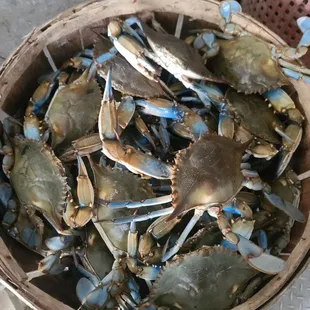a basket of blue crabs