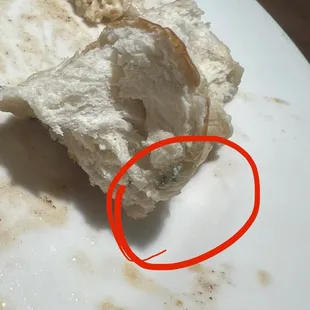 Moldy Pretzel