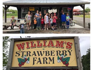Williams Strawberry Farm