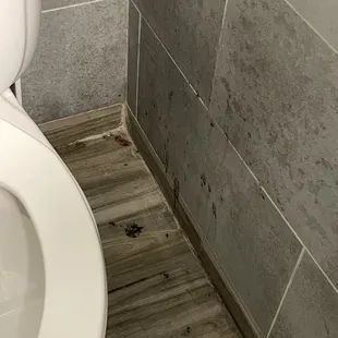 Has this bathroom ever been cleaned?!