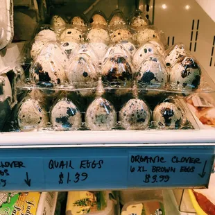Quail eggs