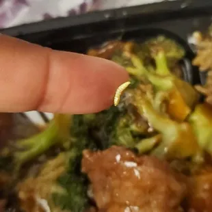 a close up of a plate of food