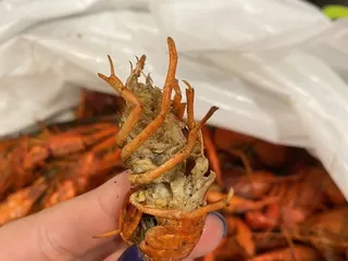 Acquistapace's Covington Supermarket 