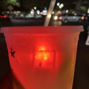 Feeling festive already