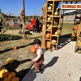 Lots of space to run around