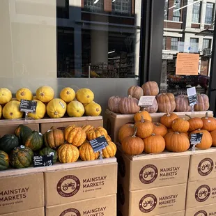 a display of pumpkins and gourds