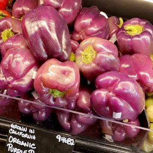 Purple Bell Peppers!
