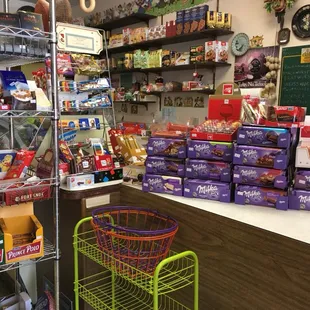 So many wonderful chocolates to choose from!