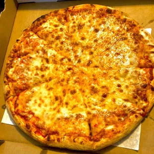 Large extra cheese pizza