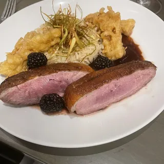 Duck