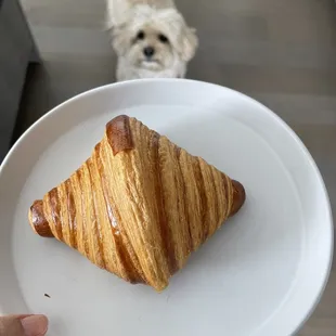 A perfect croissant